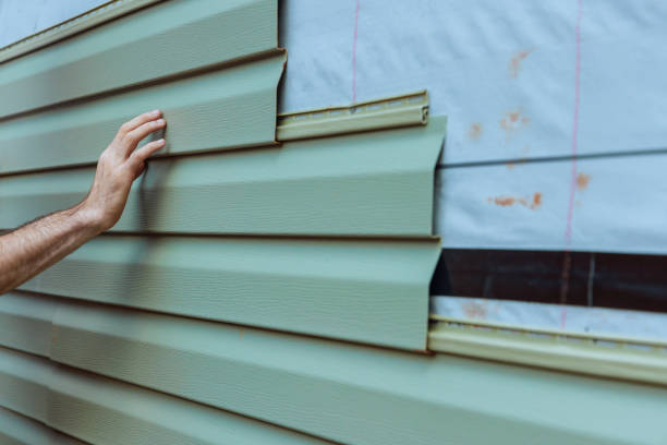 Best Aluminum Siding Installation  in Laguna Vista, TX